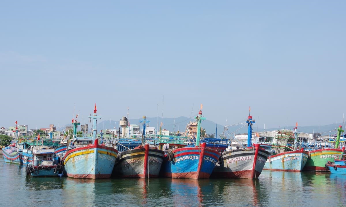 Bình Định là một trong những địa phương có đội tàu cá hùng hậu nhất cả nước