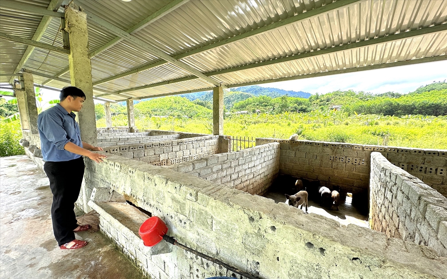 Một mô hình chăn nuôi hiệu quả ở Đông Giang