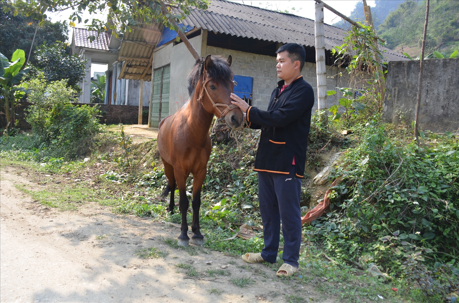 Anh Hoàng Văn Liên, thôn Pá Han, xã Phù Lưu (huyện Hàm Yên) bên chú ngựa vừa giành giải Nhất của mình
