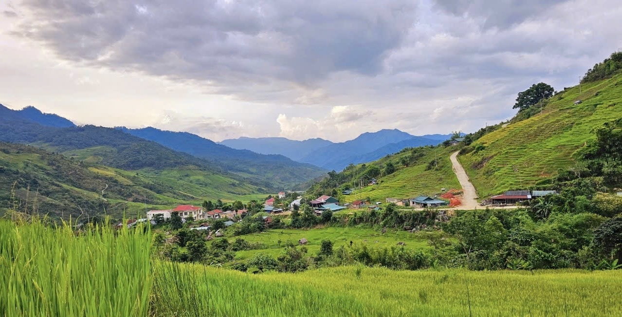 Huyện Đăk Glei có điều kiện khí hậu, thổ những phù hợp cho việc phát triển các loại cây dược liệu