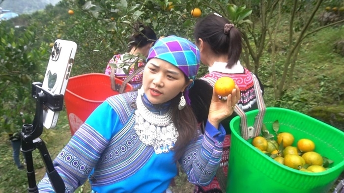 Nông dân Điện Biên đẩy mạnh ứng dụng công nghệ trong quảng bá, thúc đẩy tiêu thụ nông sản.
