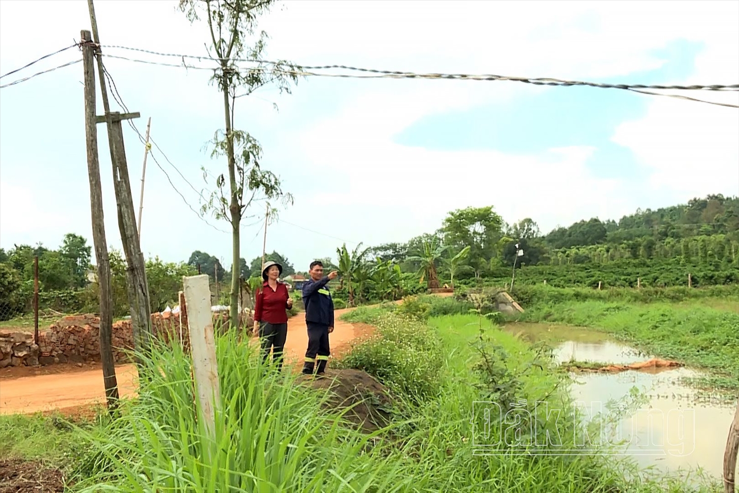 Gia đình ông Nguyễn Văn Thắng và 12 hộ dân thôn Hà Nam Ninh tự kéo điện về sử dụng