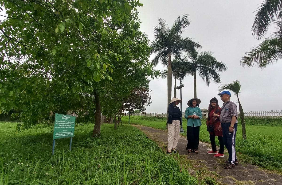 Một góc ""Vườn cây hòa bình" năm trong khuôn viên bờ Bắc, khu di tích Quốc gia đặc biệt Đôi bờ Hiền lương-Bến Hải