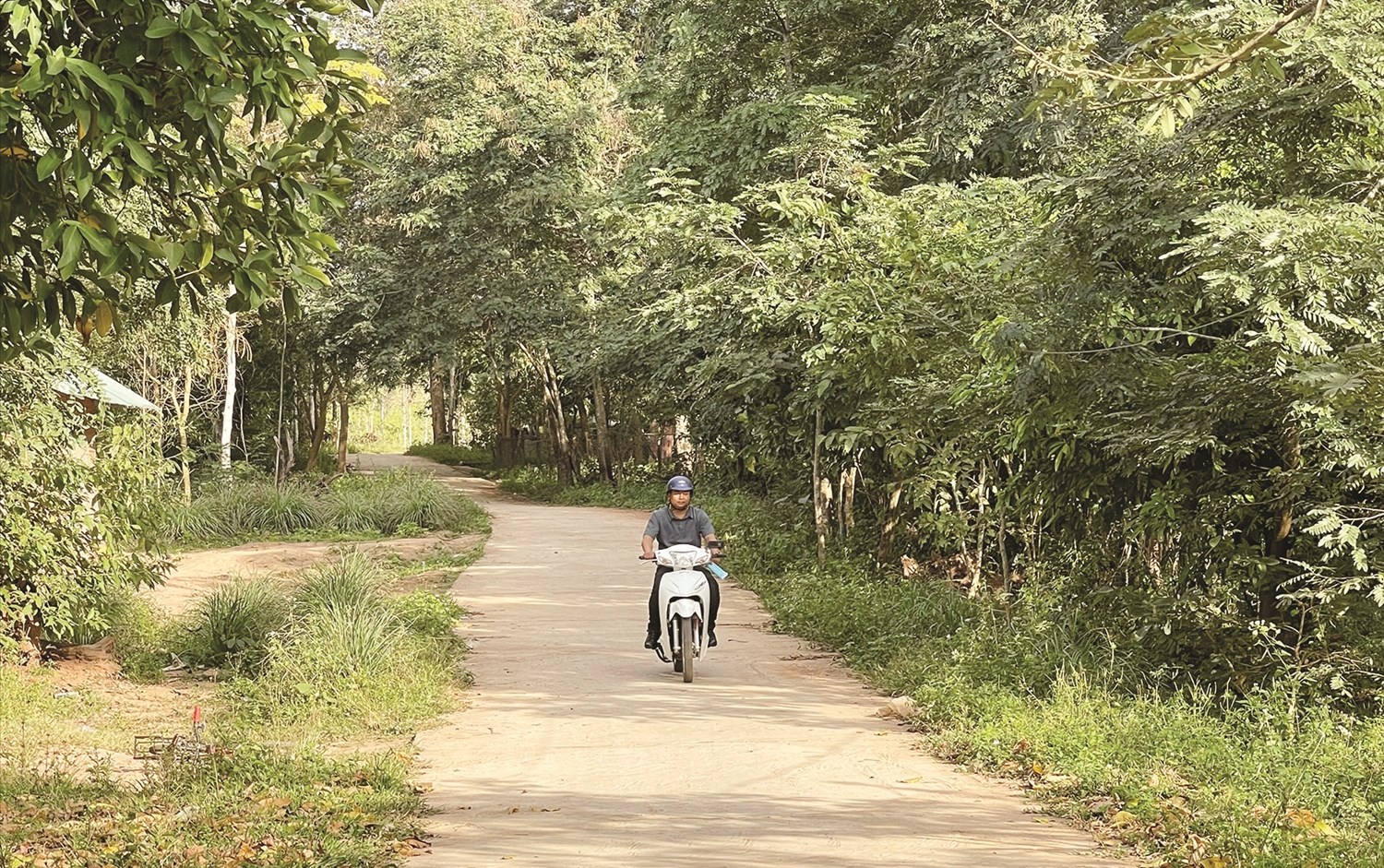 Đường vào khu sản xuất thôn A Ho, xã Thanh được xây dựng hoàn thành bằng nguồn vốn Chương trình MTQG 1719