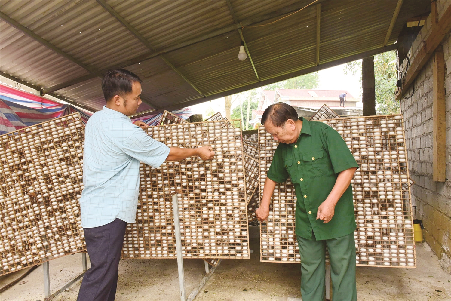 (BÁO IN) Những " sợi tơ vàng"