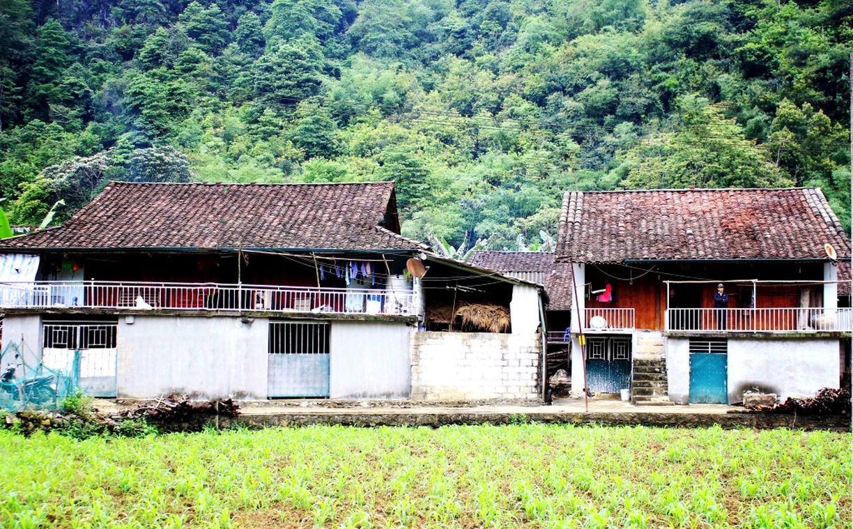 Người Tày – Nùng ở xã Đàm Thủy, huyện Trùng Khánh đã cải tiến ngôi nhà sàn cũ bằng những vật liệu hiện đại hơn tuy nhiên vẫn giữ được nét truyền thống vốn có của nhà sàn.