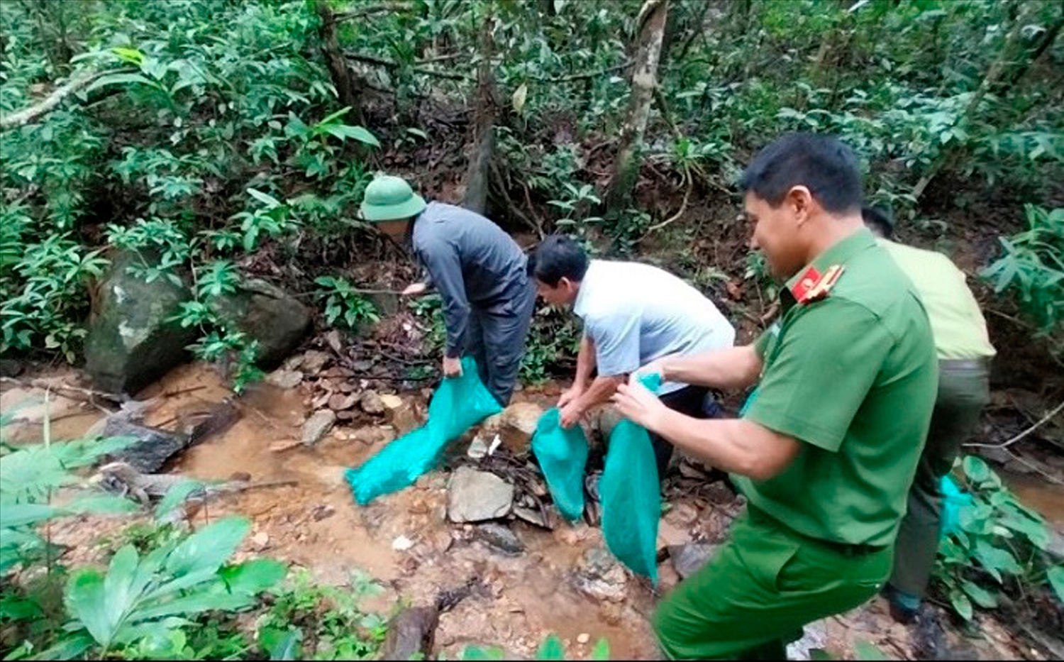 Cơ quan chức năng thả 9 cá thể động vật hoang dã là loài trăn gấm và kỳ đà vân, đều có tên trong sách Đỏ tại Vườn Quốc gia Kon Ka Kinh. Ảnh Công an Gia Lai.