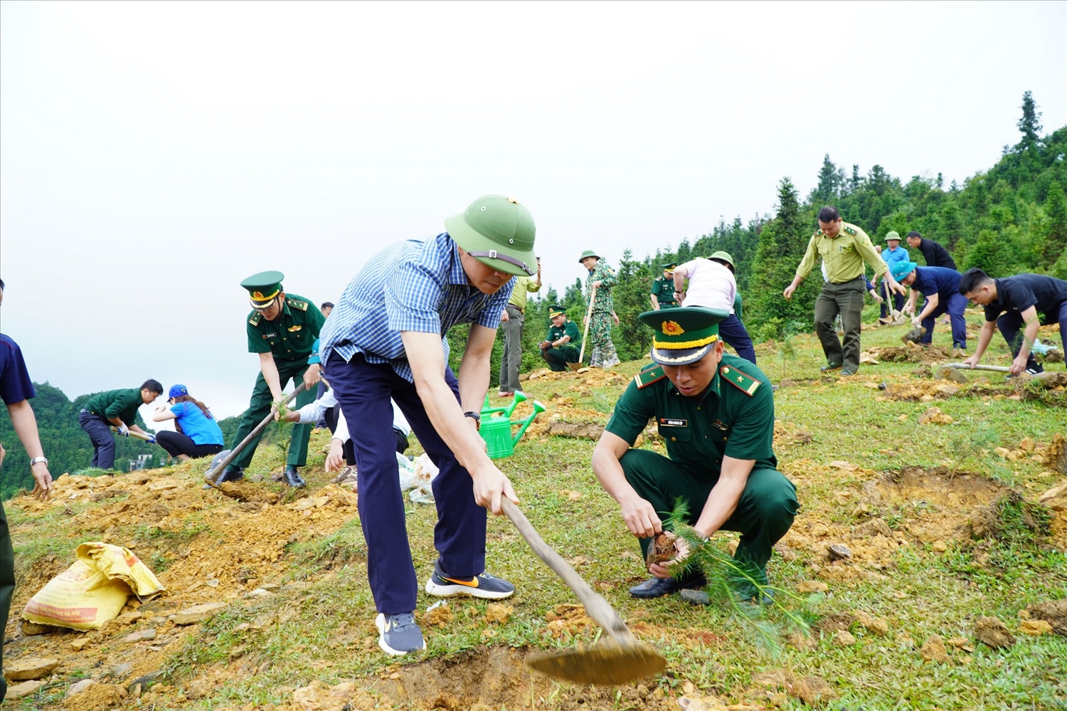 Các chiến sĩ lực lượng Bộ đội Biên phòng tham gia trồng cây dọc tuyến biên giới