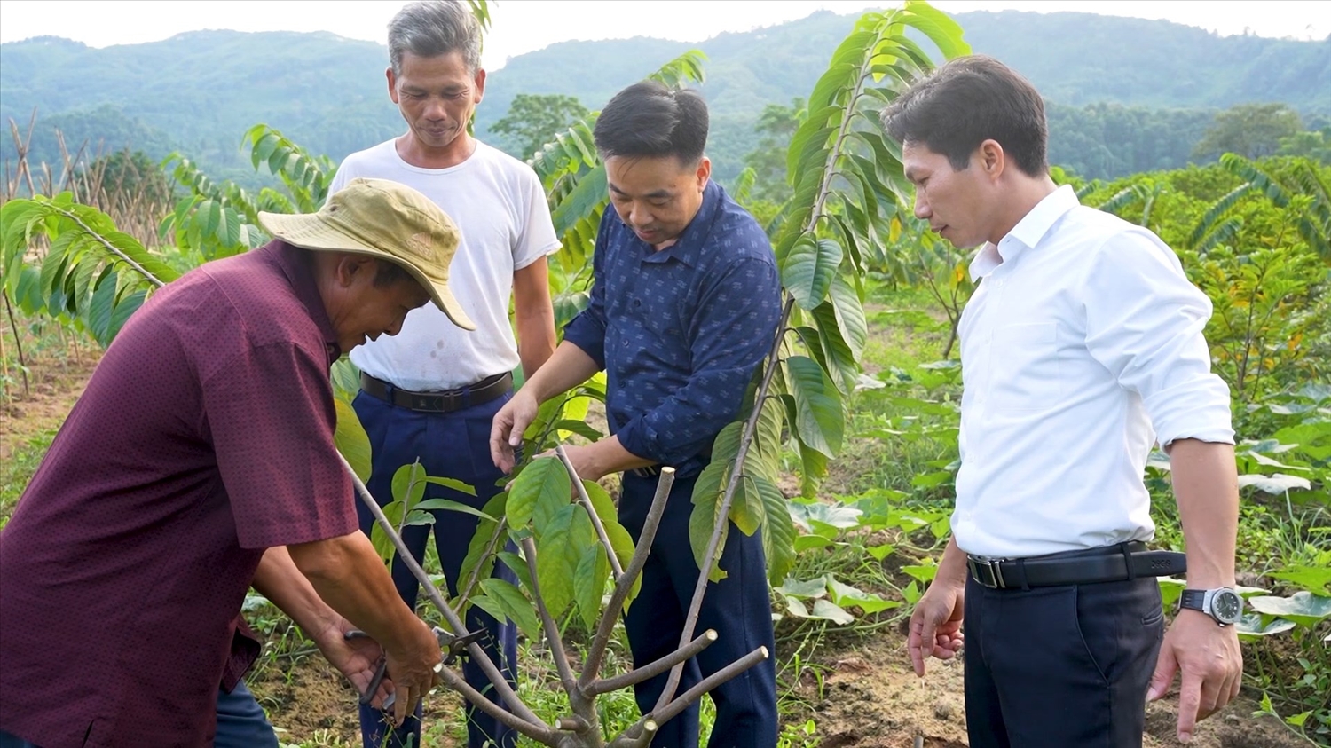 Nông dân xã Thái Niên, huyện Bảo Thắng, Lào Cai tăng cường áp dụng khoa học kỹ thuật vào sản xuất.