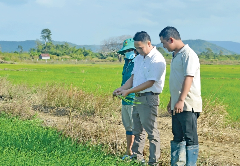 Anh Nguyễn Tuấn Anh triển khai mô hình điểm chuyển đổi diện tích lúa rẫy sang trồng lúa nước cho năng suất cao