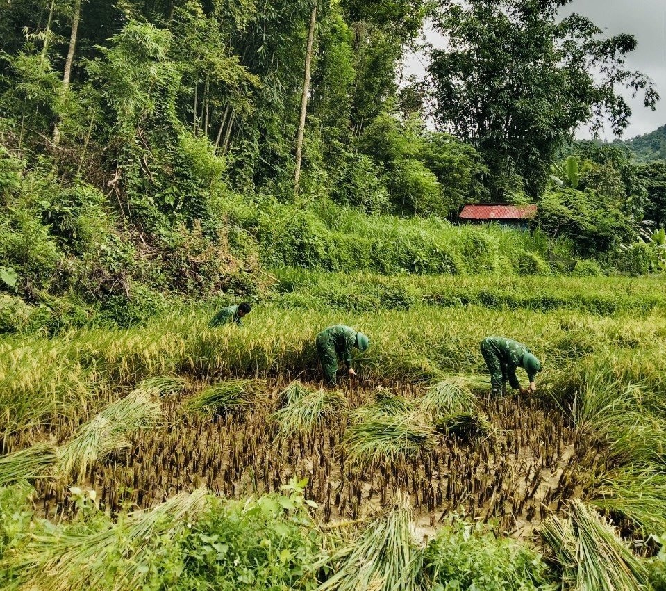 (Ban CĐ- bài chuyên đề sở NN&PTNT) Cao Bằng: Chủ động ứng phó với thiên tai, dịch bệnh cho cây trồng vật nuôi