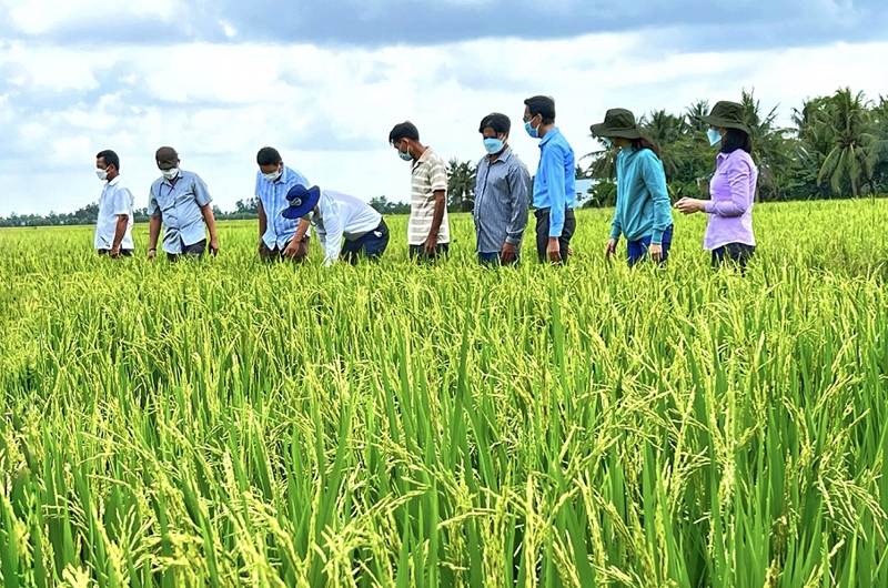 Đề án khởi tạo một phương thức sản xuất mới phù hợp với xu thế sản xuất và tiêu dùng của thế giới