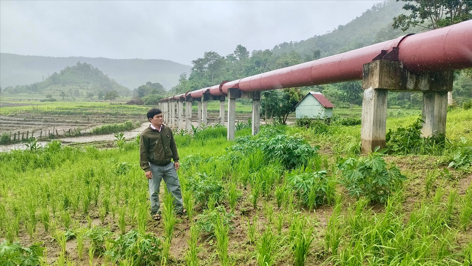 Tổng Bí thư đã chỉ đạo các cơ quan chức năng Trung ương, tỉnh Gia Lai phải ưu tiên nguồn vốn xây dựng công trình thủy lợi Pleikeo để đảm bảo nguồn nước tưới thường xuyên cho Ayun