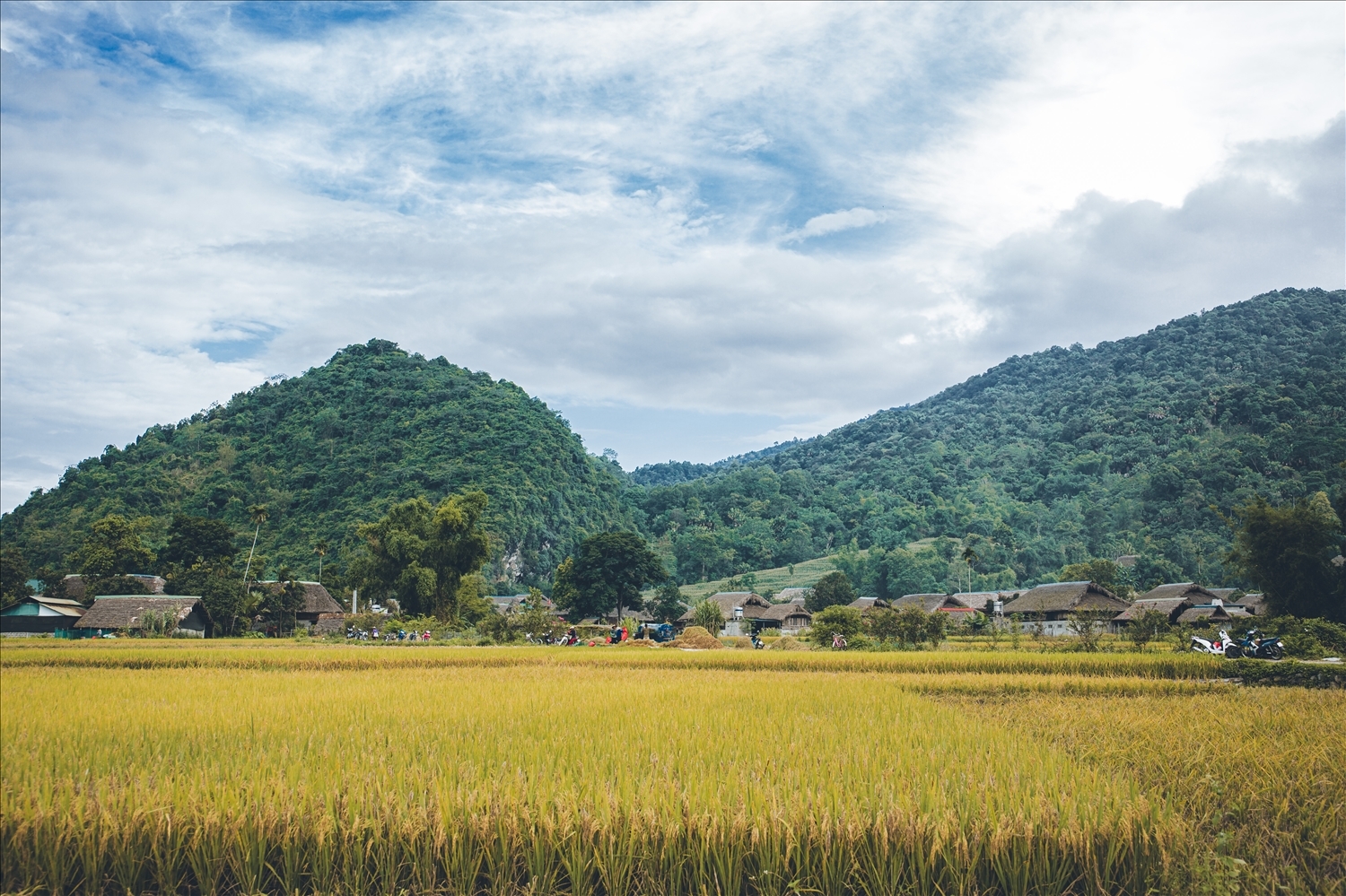 Xã Phương Độ nổi tiếng với khung cảnh thiên nhiên thơ mộng và những ngôi nhà sàn truyền thống mang đậm bản sắc văn hóa dân tộc Tày