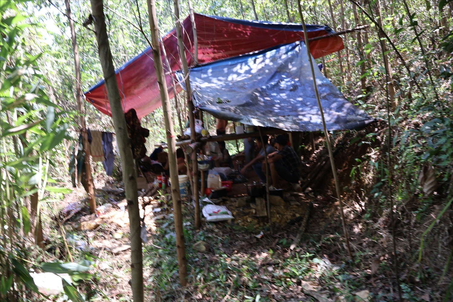 Một lán trại được phát hiện tại khu vực đào vàng trái phép trên đồi Hố Du, thôn Bình Tân, xã Trà Bình, huyện Trà Bồng. (Ảnh: Công an huyện Trà Bồng cung cấp)