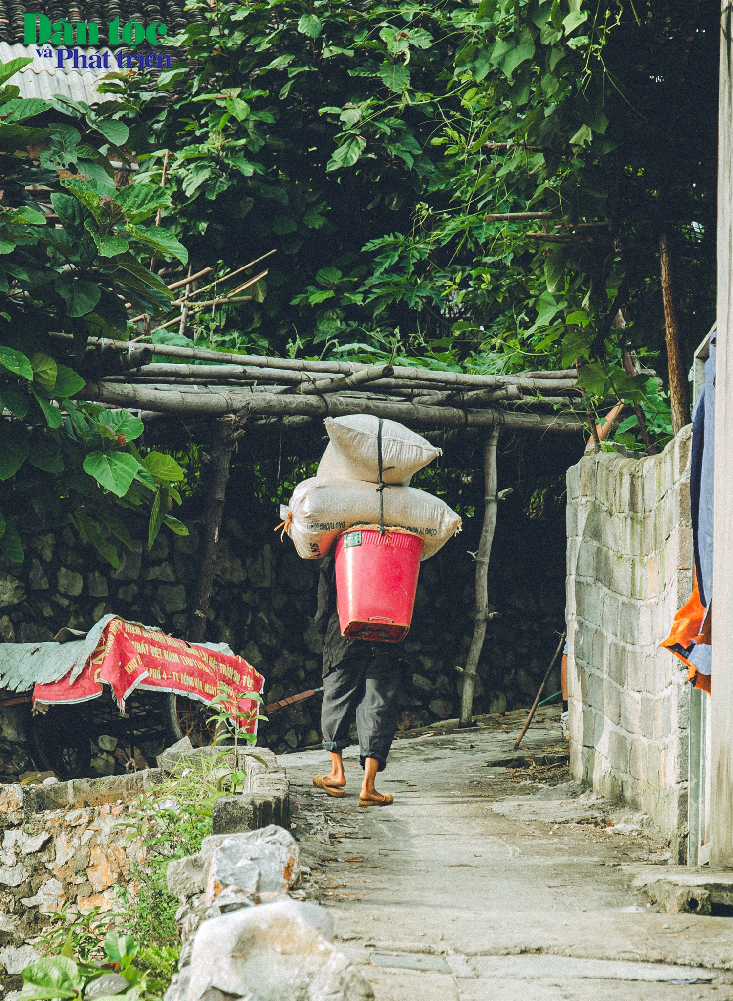 Về Hà Giang, thăm làng Nghiến, ngắm những nếp nhà yên bình 14