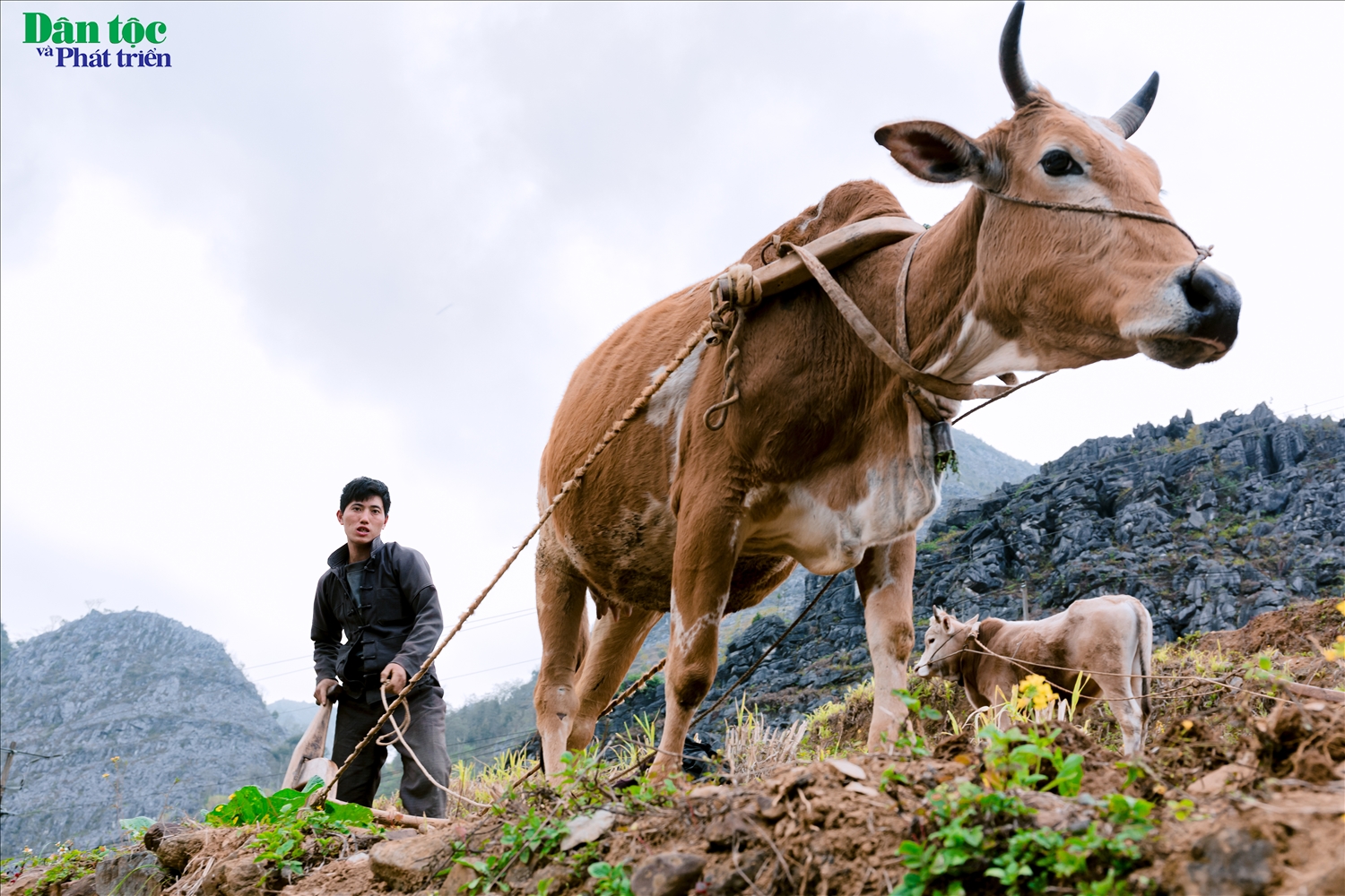 Ngoài ra, các công cụ trong lao động, sản xuất, sinh hoạt bao đời nay vẫn được người dân gìn giữ cũng là những khám phá bất ngờ, thú vị cho khách du lịch. 