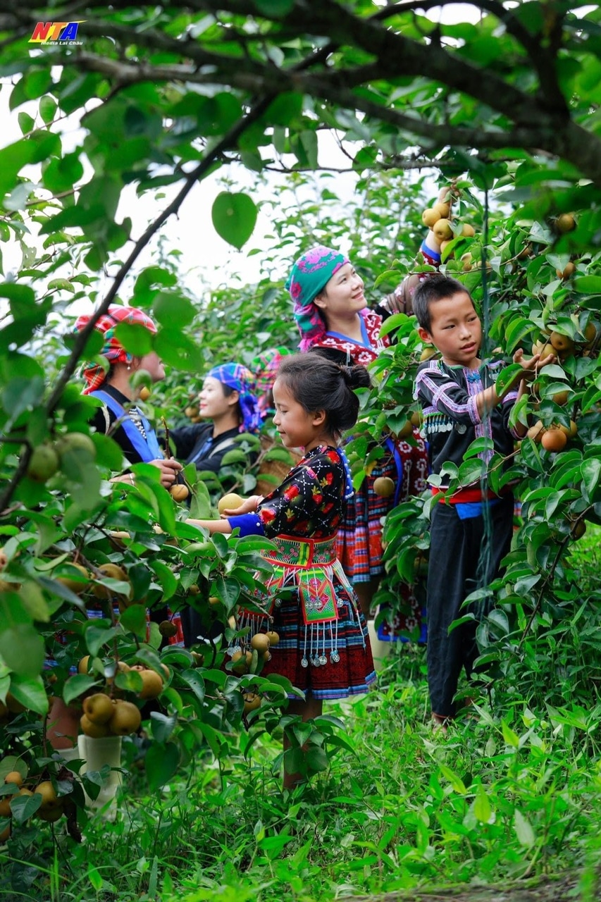 Mắc cọp gắn bó với đời sống đồng bào Mông trên vùng núi cao Tây Bắc. (Ảnh Tuấn Anh)