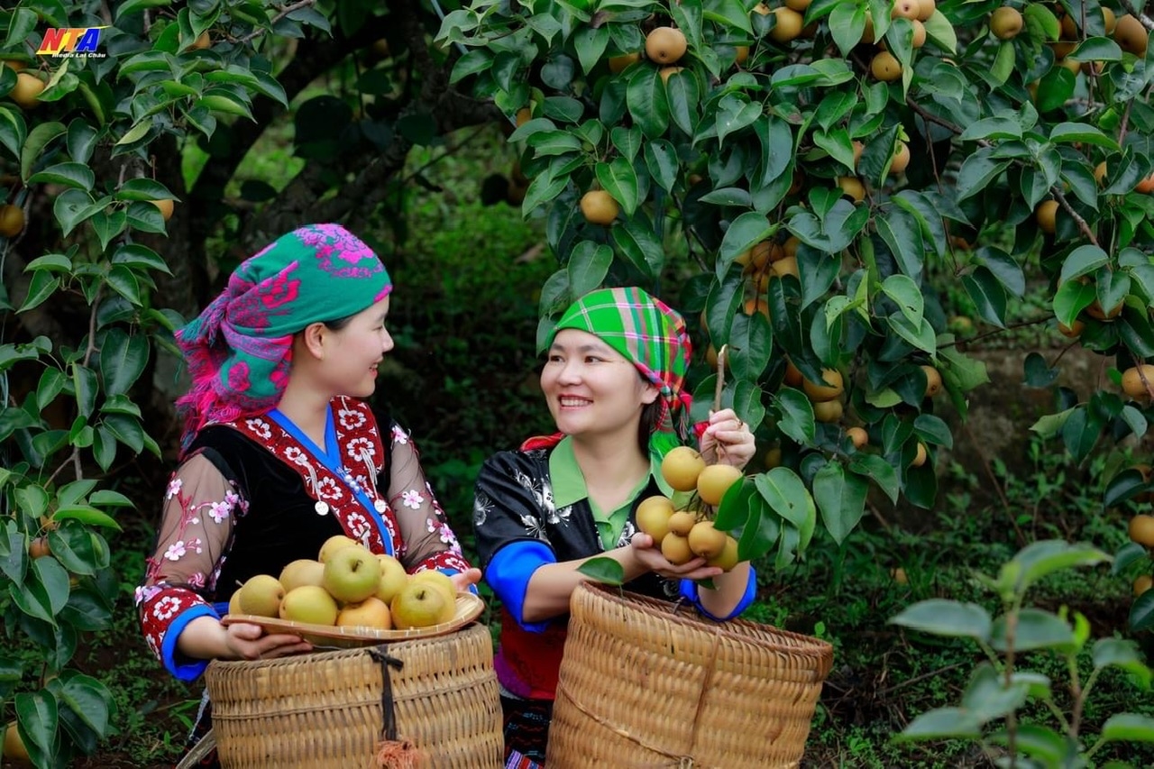 Mắc cọp thức quà an lành từ núi. (Ảnh Tuấn Anh)