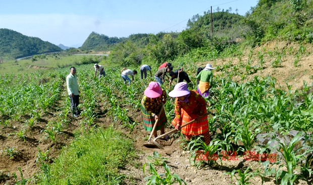 Người nghèo, hộ gia đình hoặc cá nhân là người DTTS sinh sống tại các địa bàn có điều kiện kinh tế - xã hội đặc biệt khó khăn, biên giới, hải đảo thuộc diện được miễn, giảm tiền sử dụng đất.