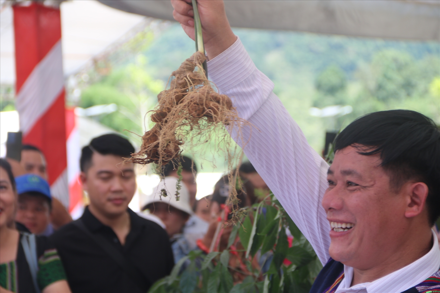 3 cây sâm nặng 4 lạng của ông Hồ Văn Lượng được đấu giá với số tiền cao nhất, 129 triệu đồng.