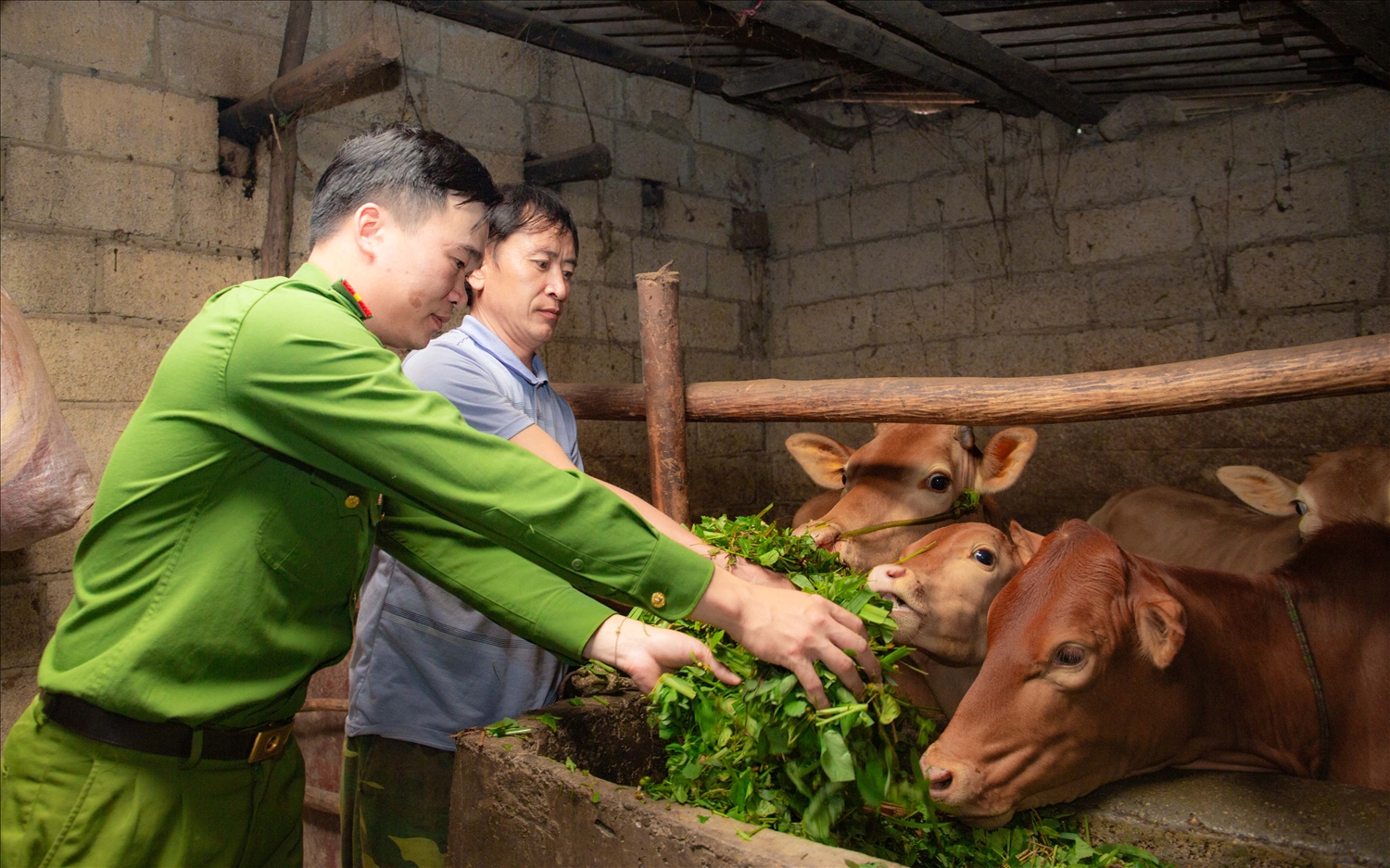 Thượng úy Nguyễn mạnh Tường thăm mô hình phát triển kinh tế hộ gia đình nhà anh Sùng Mí Dính.