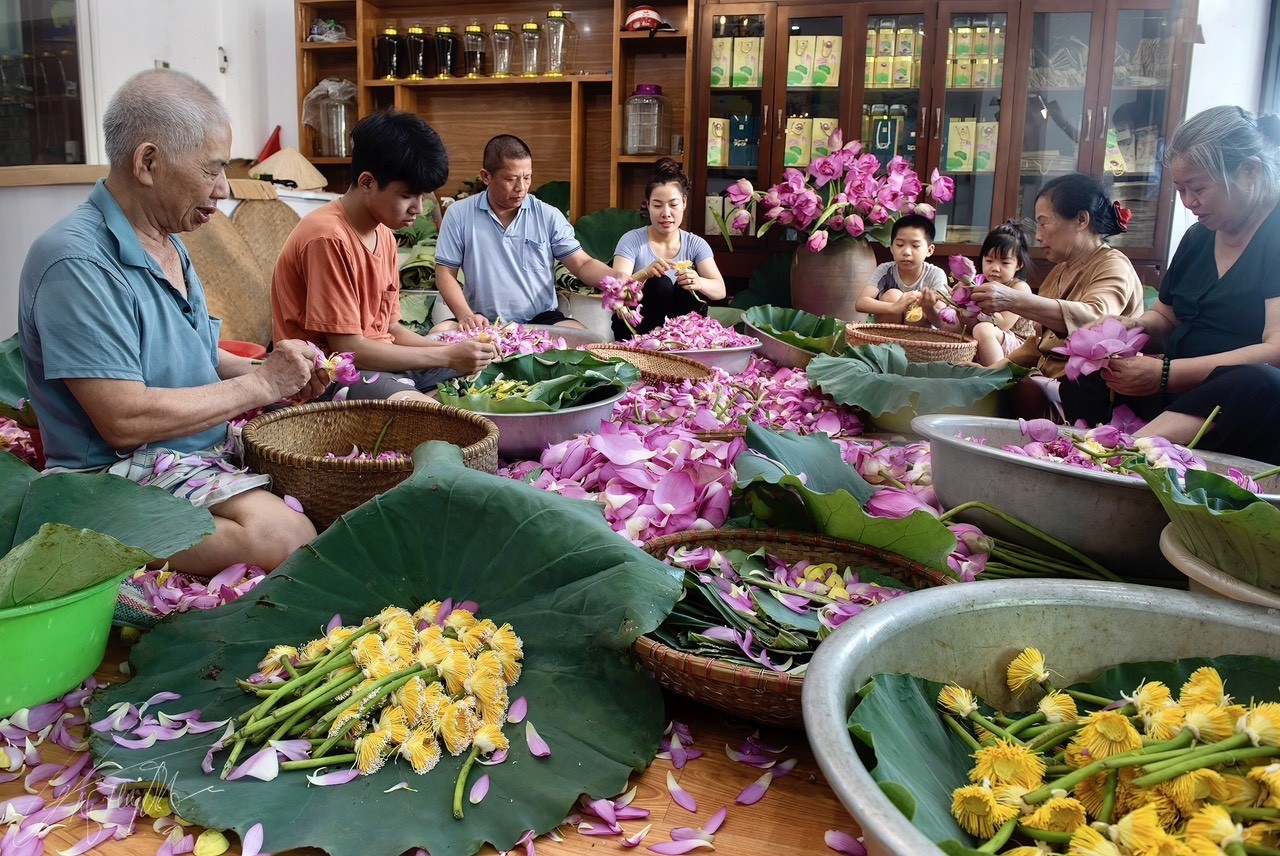 Gia đình nghệ nhân ướp trà phường Quảng An, Tây Hồ (Ảnh minh họa). 