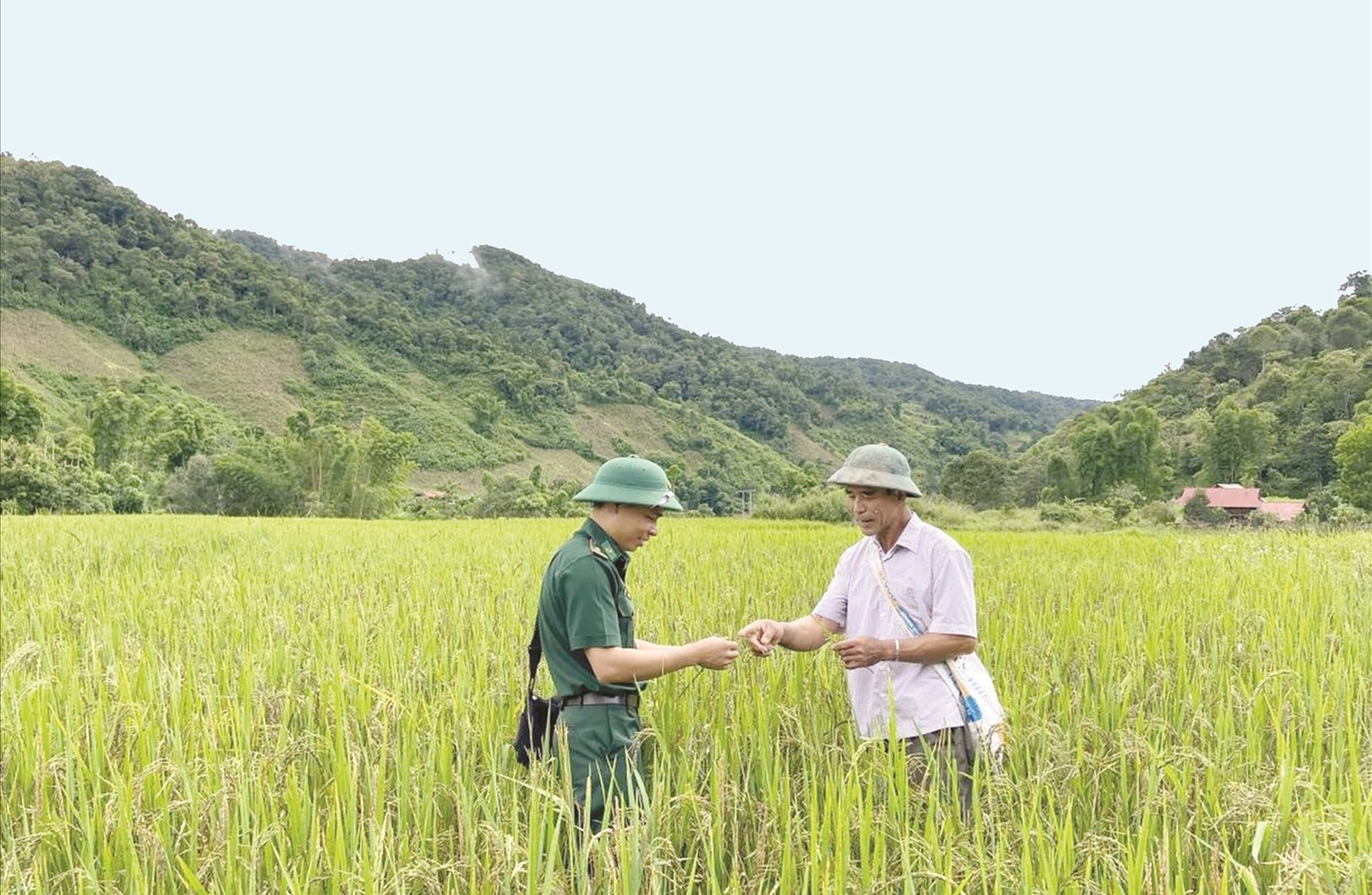 Ông Sừng Sừng Khai (bên phải) là người đi đầu trong khai khẩn đất hoang thành ruộng trồng lúa nước ở xã Sín Thầu. Ảnh: Thanh Tùng