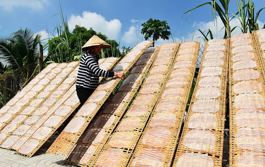 Người làng nghề phơi bánh tráng Trảng Bàng