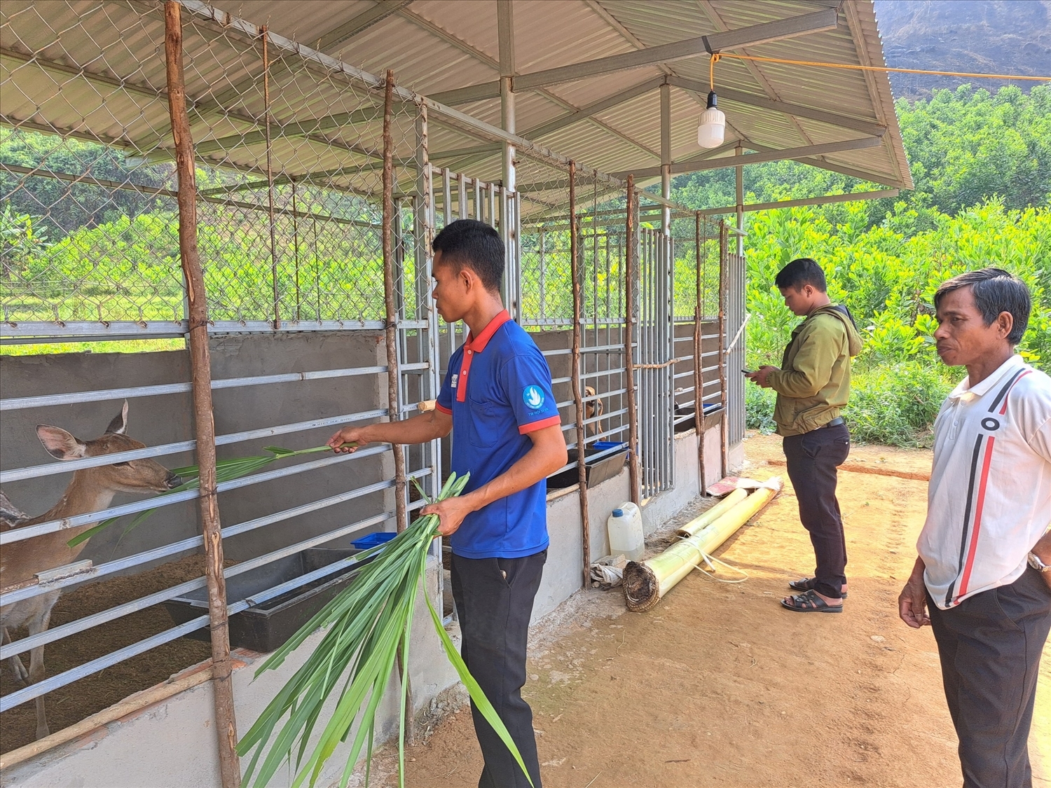 Chương trình mục tiêu quốc gia có ý nghĩa lớn trong việc phát triển sinh kế, giảm nghèo ở khu vực miền núi Quảng Nam.