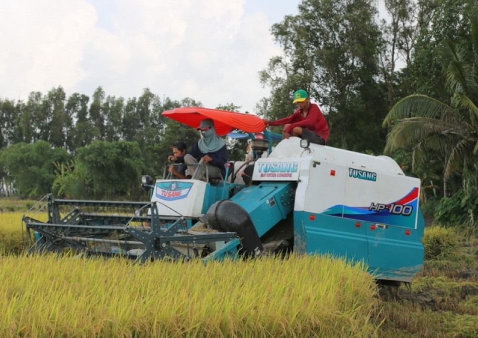 Phát huy kết quả đạt được, nông dân Cần Thơ đang tập trung triển khai, nhân rộng đề án phát triển bền vững 1 triệu ha lúa chất lượng cao (Ảnh: VOV).