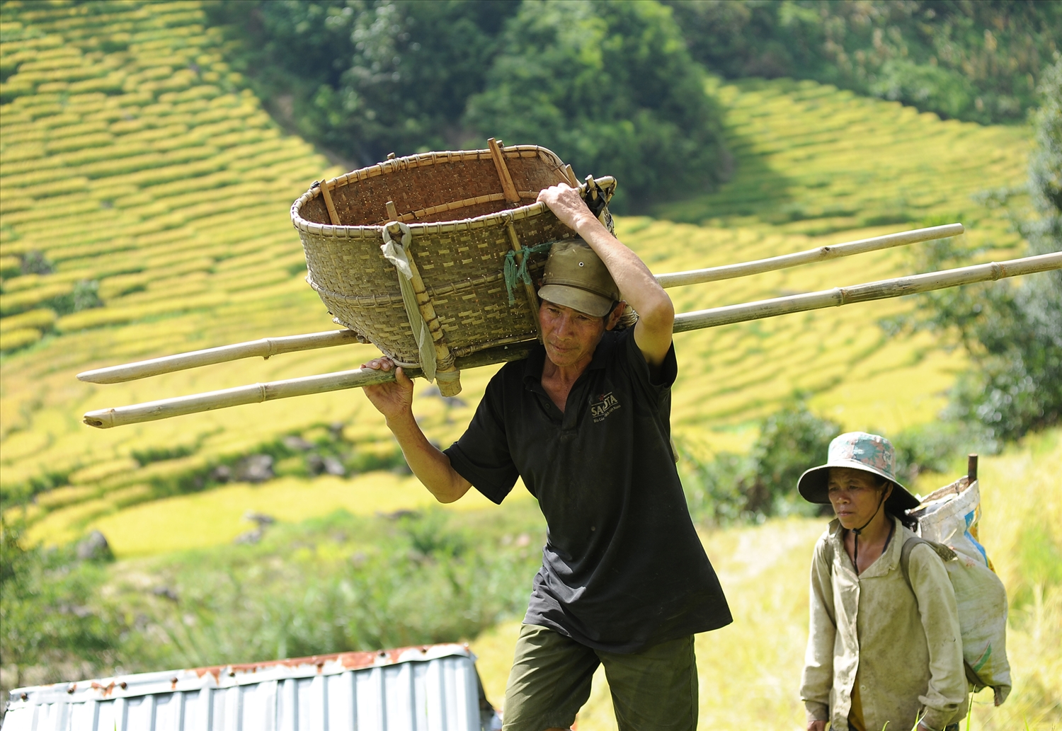 Những vật dụng mang theo để đựng lúa