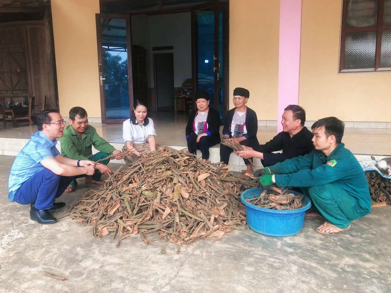 Ông Bàn Văn Sang cùng lãnh đạo phòng dân tộc huyện và lãnh đạo xã Sơn Hà đến thăm hộ gia đình có mô hình trồng quế lớn của thôn.