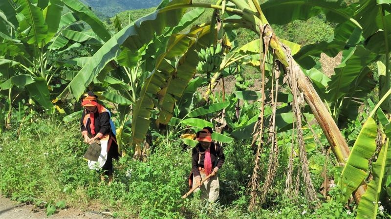 Xác định động lực tạo thu nhập hộ gia đình DTTS: “Chìa khóa” để giảm nghèo bền vững 2