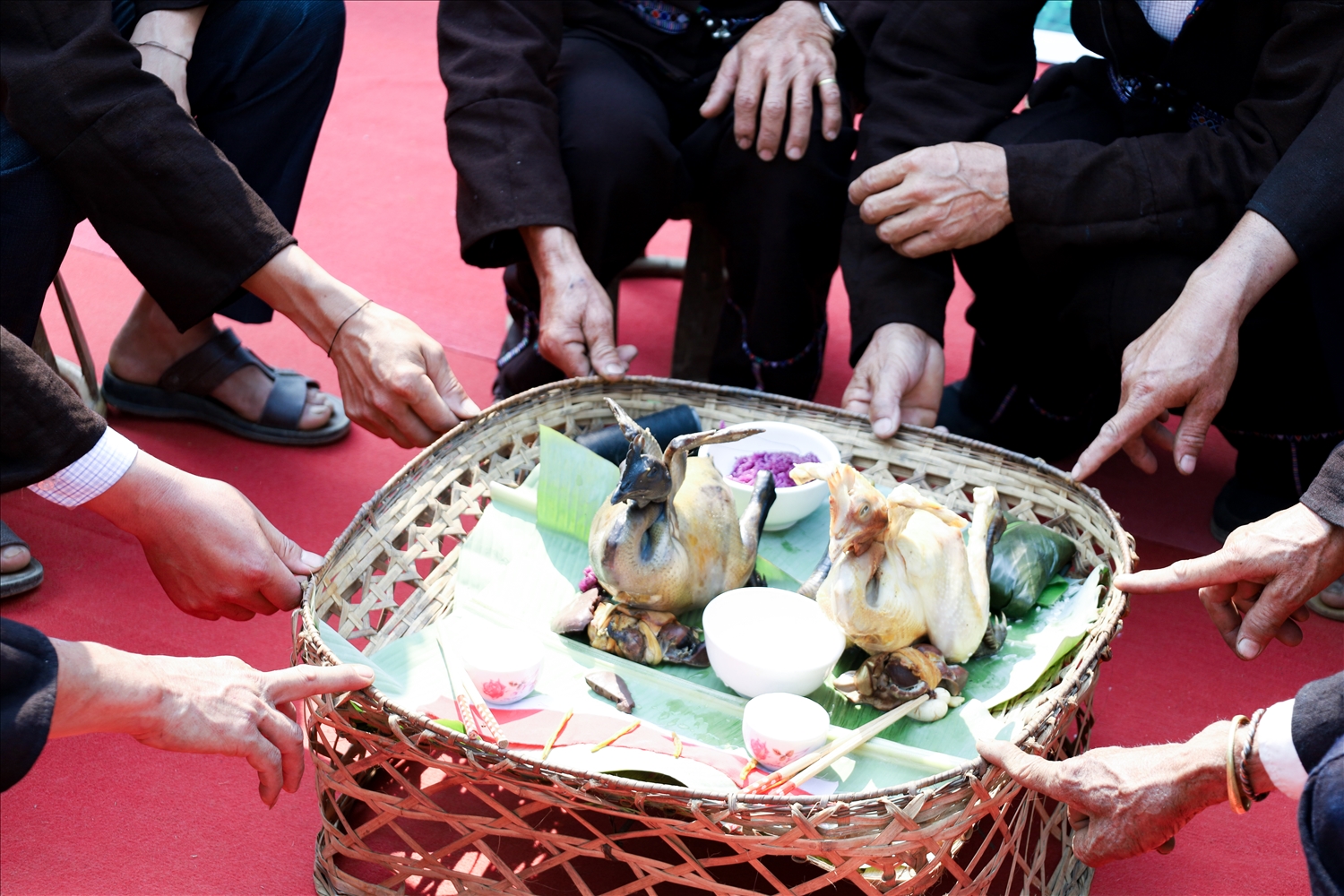 Trong nghi lễ cúng, thầy cúng và chủ trâu đặt một ngón tay lên mâm lễ, để thực hiện nghi lễ