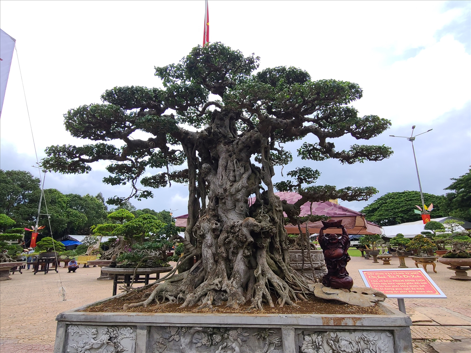 Tác phẩm cây xanh “Thần tài du xuân”