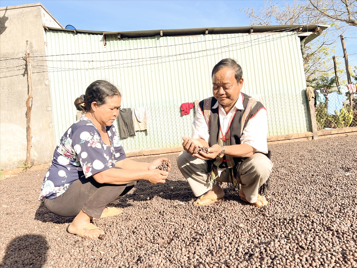 Người có uy tín Siu Biai đã tiên phong trong đổi mới tư duy, ứng dụng khoa học kỹ thuật trong canh tác cà phê bền vững