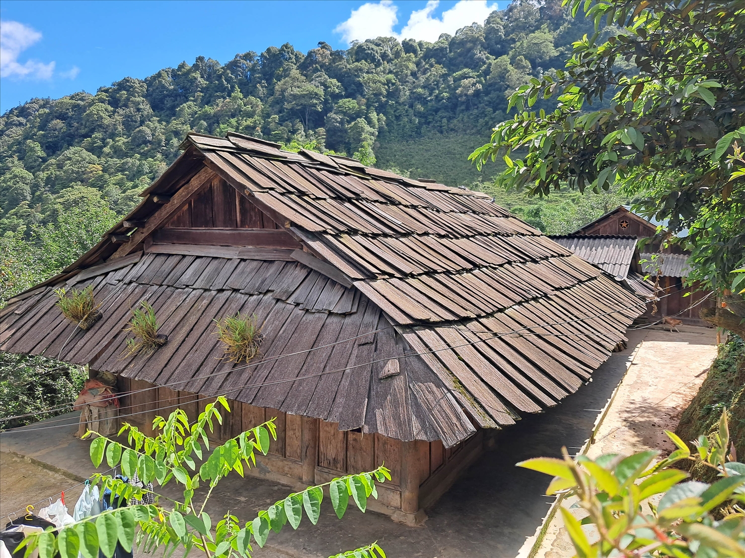 Một nếp nhà cổ truyền thống, mái lợp ván gỗ sa mu của người Mông ở Kỳ Sơn.