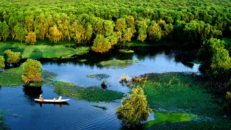 Toàn cảnh rừng tràm Trà Sư, An Giang