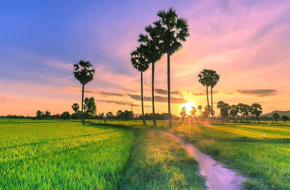 Nông thôn An Giang đẹp như trong truyện cổ tích.