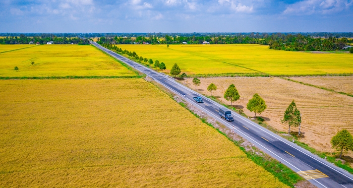 Cánh đồng lúa chín vàng trải dài là một trong những nét đặc trưng ở mảnh đất Hậu Giang (Ảnh: Anh Lam).