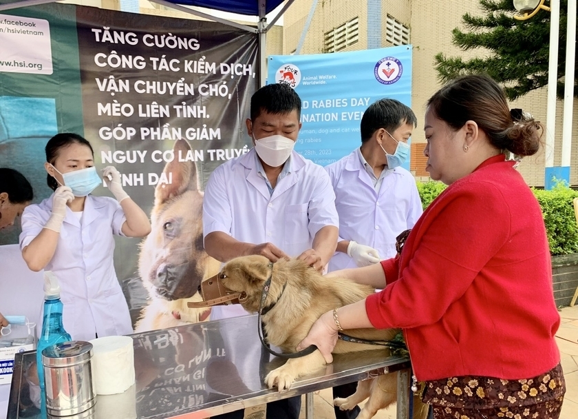 Người dân cần chủ động tiêm phòng dại cho vật nuôi để phòng, chống bệnh dại. (Ảnh minh họa)