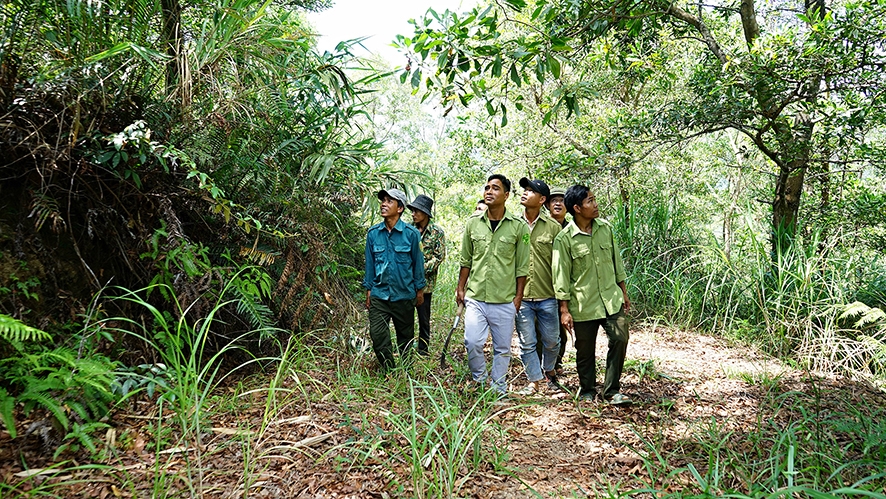 Các tổ đội quần chúng bảo vệ rừng ở xã Linh Trường, huyện Gio Linh thường xuyên tổ chức tuần tra, quản lý bảo vệ rừng trên lâm phần được giao (Ảnh: Lê An).