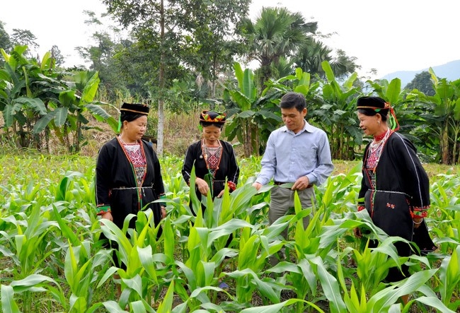 Nhìn từ kết quả khảo sát mức sống dân cư: Tăng tốc cho các mục tiêu lớn (Bài cuối) 2