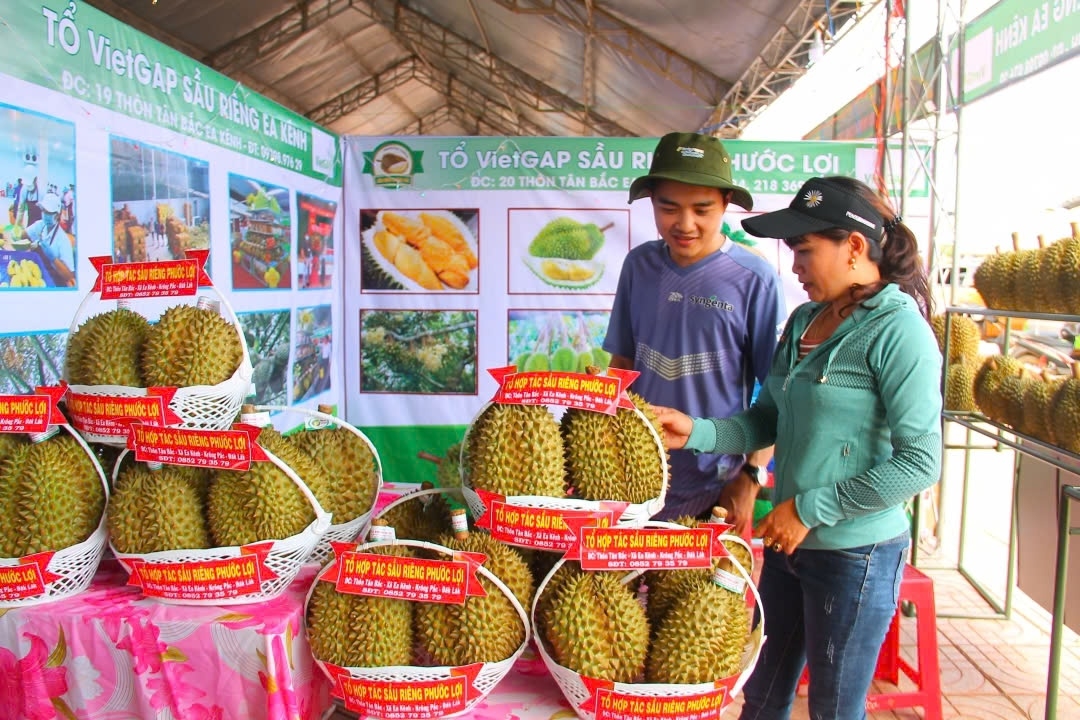 Tưng bừng Lễ hội sầu riêng ở Krông Pắc tại Đắk Lắk 3