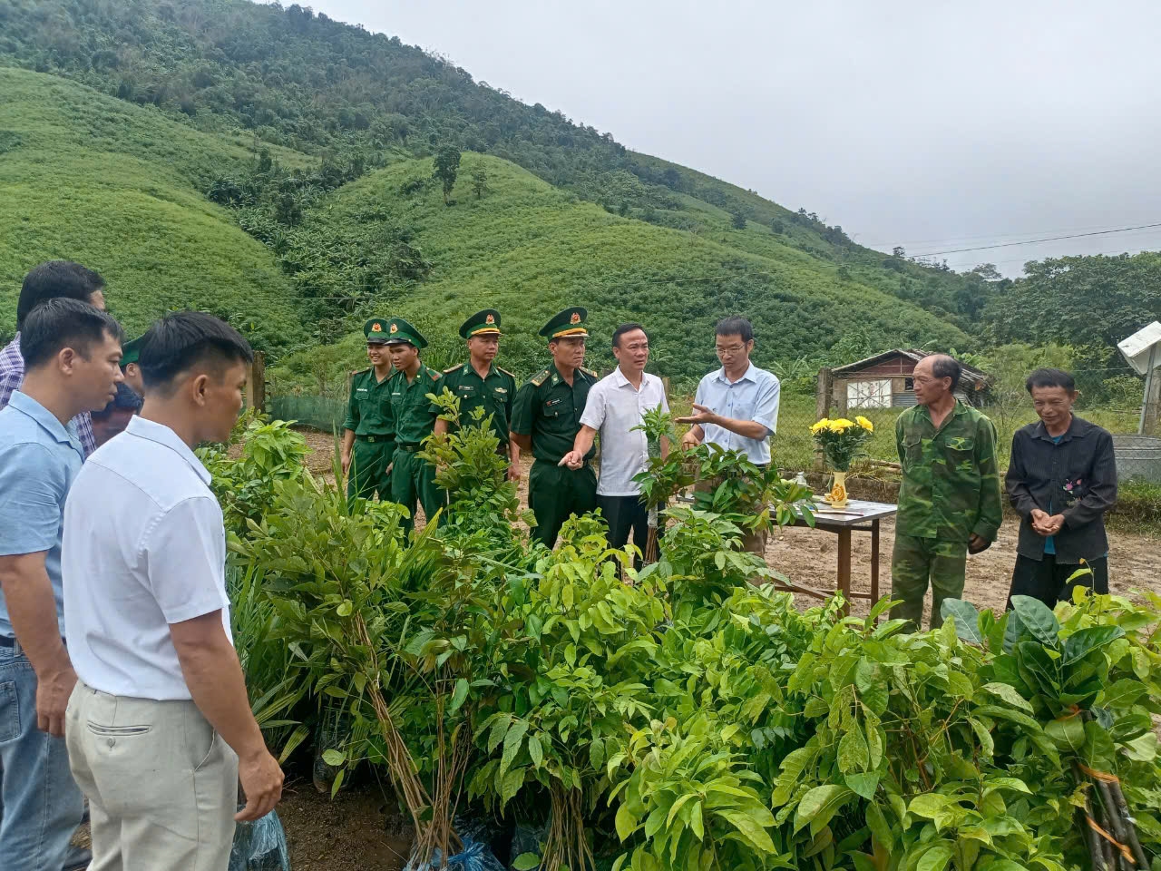 Cây giống trao cho bà con trên địa bàn Đồn Biên phòng Nhôn Mai đứng chân