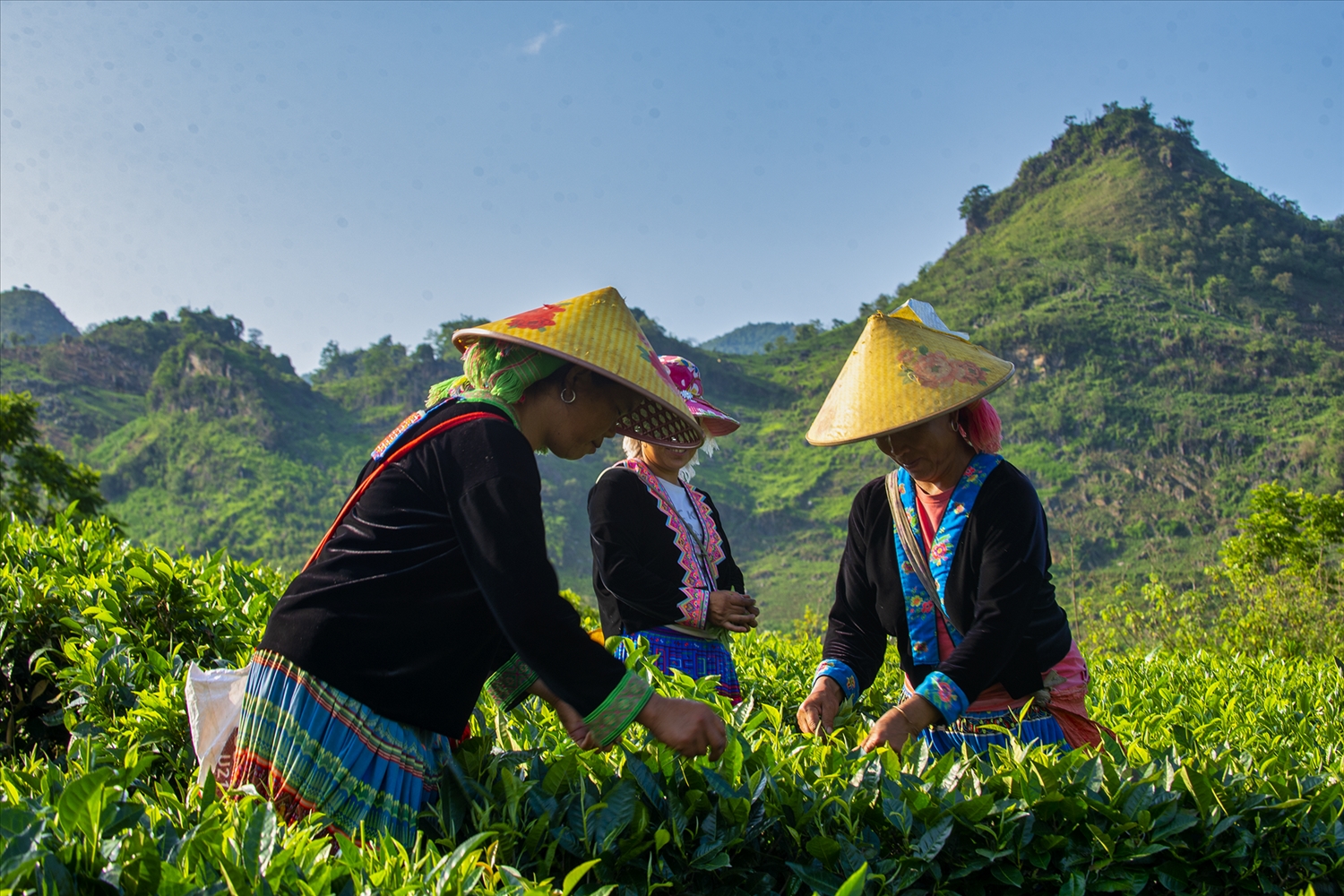 Nét đẹp lao động (Ảnh Hà Minh Hưng)