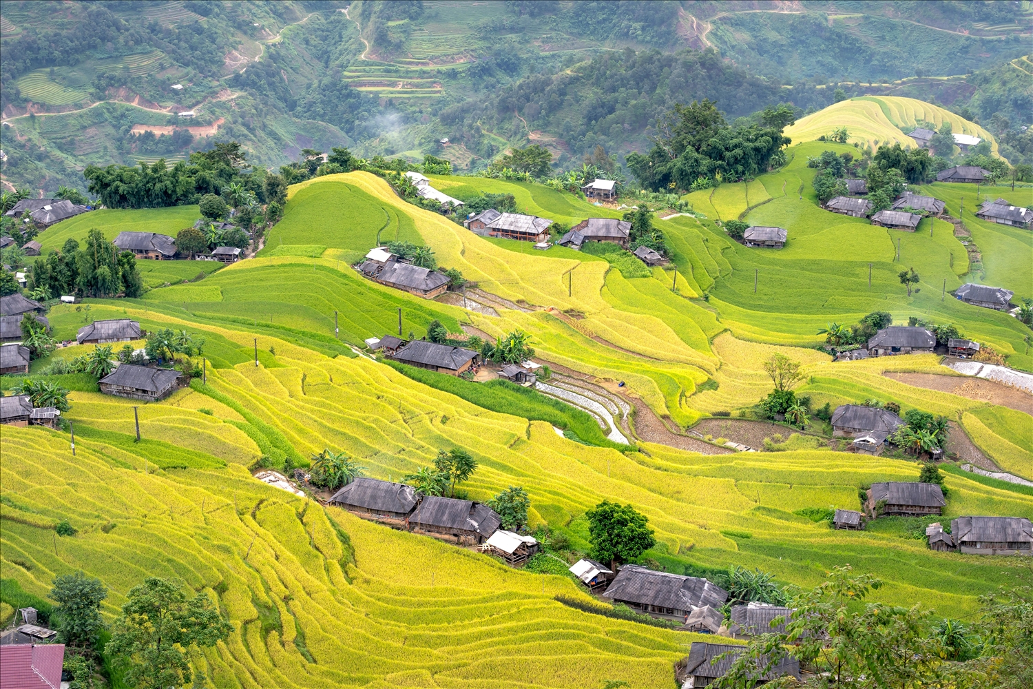 (TIN) Dừng tổ chức Tuần văn hóa du lịch “Qua miền di sản ruộng bậc thang Hoàng Su Phì” năm 2024