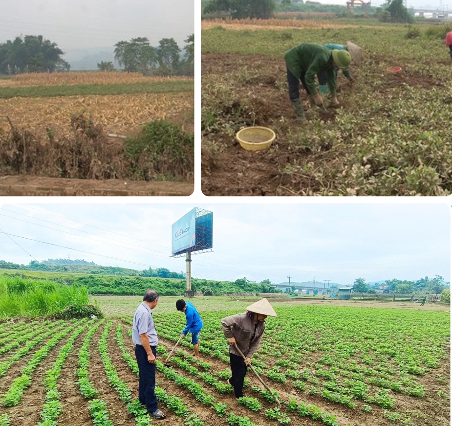 Cập nhật dữ liệu thực trạng kinh tế - xã hội sau thiên tai để tránh sai số: Dự báo gia tăng tình trạng nghèo (Bài 3) 1