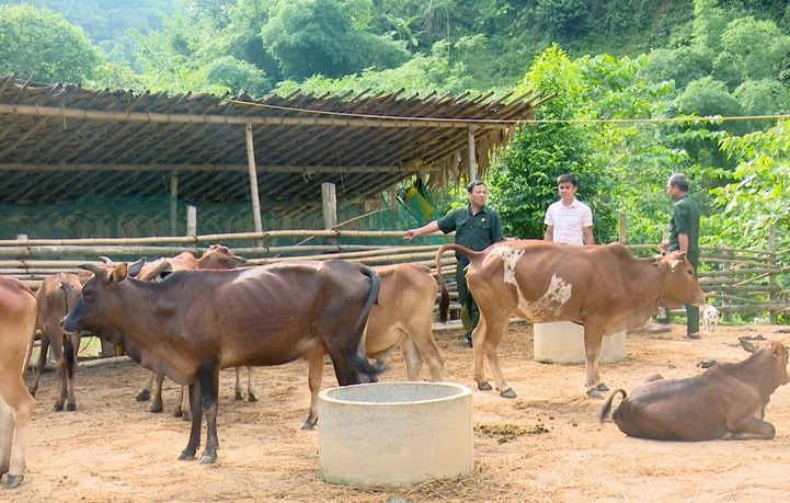 Lang Chánh thực hiện nhiều chính sách đồng bộ, trong đó ưu tiên hỗ trợ sản xuất, chăn nuôi nên số hộ nghèo, hộ cận nghèo của huyện đã giảm qua các năm.